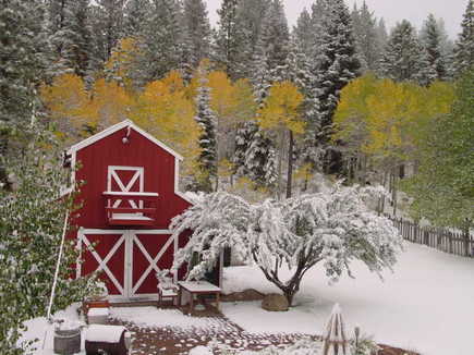 Snow-covered barn and trees in Lodi wine region during winter with colorful fall foliage in the background.