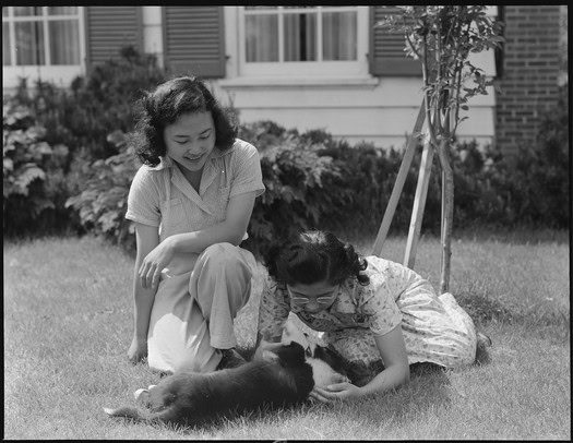 Two women playing with a puppy on the grass in a garden, smiling and enjoying a sunny day.