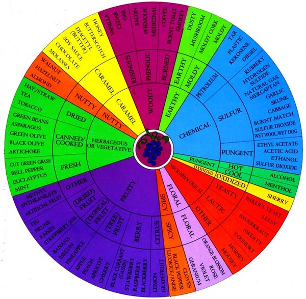 Colorful flavor wheel illustrating wine taste profiles from Lodi Winegrape Commission.