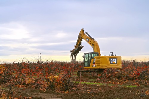 Yellow CAT excavator working in a vineyard during grape harvest season in Lodi, California.