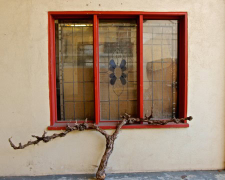 Red-framed window with a flower design and a vine branch in front, representing Lodi winegrowing region.