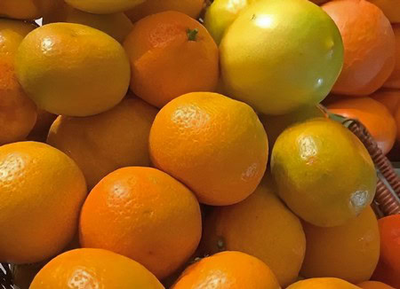 Fresh oranges and lemons from Lodi Winegrape Commission, showcasing local produce and vibrant citrus fruits.