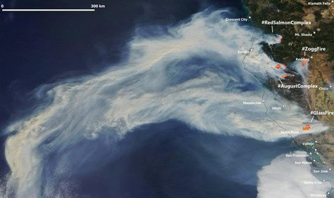 Satellite image showing wildfire smoke drifting over California's Lodi wine region.