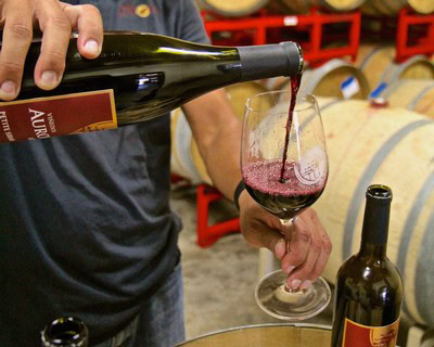 Pouring red wine into a glass at a winery with wine barrels in the background.