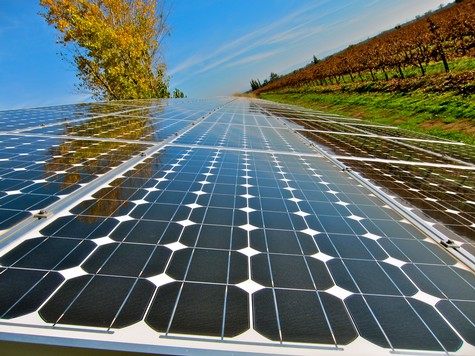 Solar panels installed in a vineyard in Lodi, California, promoting sustainable winegrowing practices.