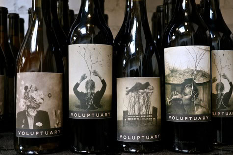 Collection of wine bottles with artistic labels from the Lodi Winegrape Commission.