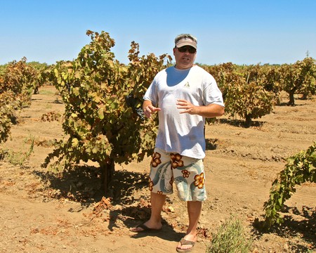 Man in casual clothing and sunglasses standing in a vineyard with lush grapevines under a clear blue sky.