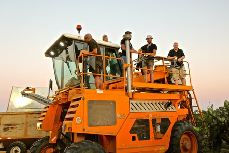 Group of people on orange grape harvester machine during sunset in Lodi, California.