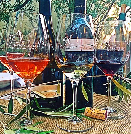 Three wine glasses with different wines on a table, with wine bottles and greenery in the background.