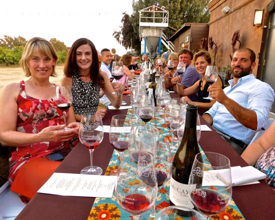 Group of people enjoying wine tasting outdoors at a long table with wine glasses and bottles.