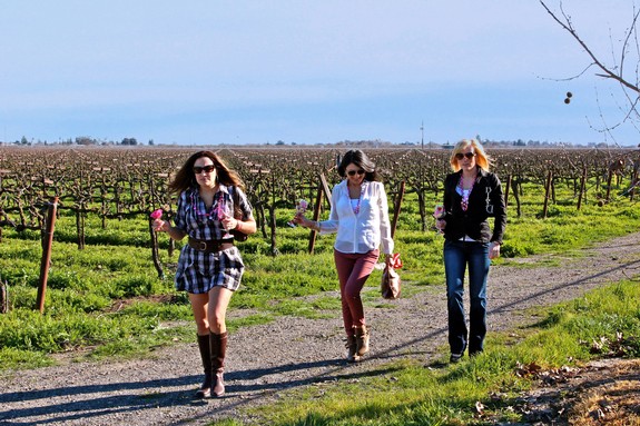 Three women walking through a vineyard in Lodi, California, enjoying a winegrape tour on a sunny day.
