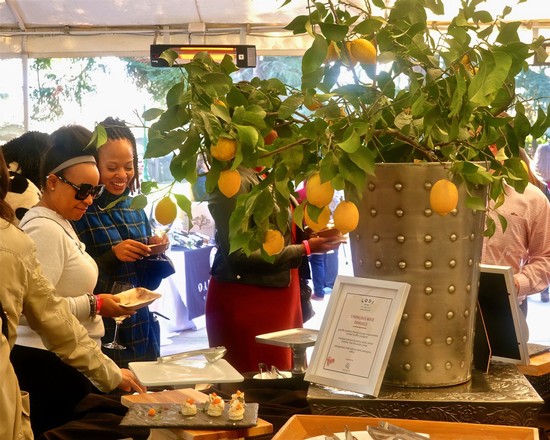 People enjoying wine tasting at a Lodi wine event with a lemon tree centerpiece.