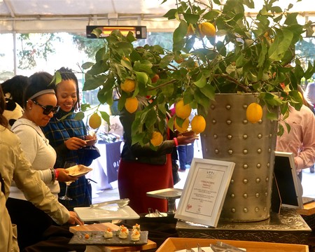 People enjoying wine and food at a Lodi Winegrape Commission event with a lemon tree centerpiece.