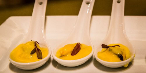 Three tasting spoons with yellow wine or sauce, garnished with small herbs, on a white plate.