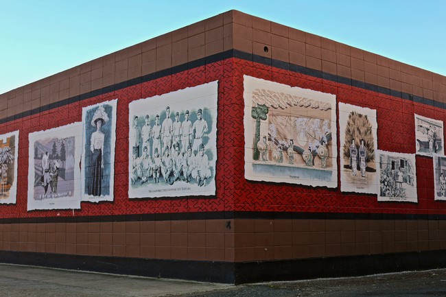 Colorful mural on building wall showcasing Lodi winegrape history and community.