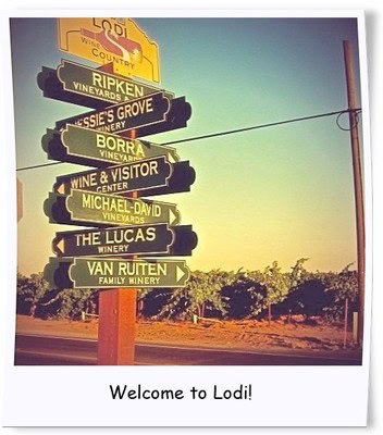 Signpost in Lodi wine country showing directions to local vineyards and wineries.