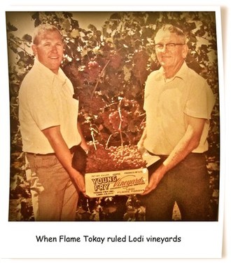 Two men holding a box of grapevine cuttings in a vineyard, celebrating Lodi wine history.