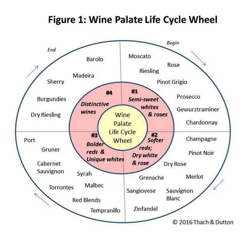Diagram of the wine palate life cycle wheel showing different wine types and stages.