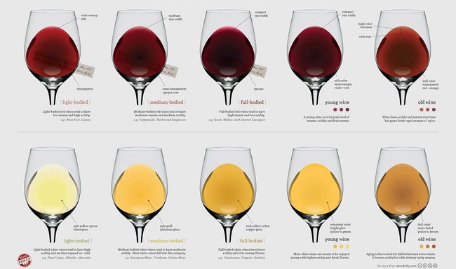Wine glass showing different stages of grape ripeness from light-bodied to old vine in Lodi, California.