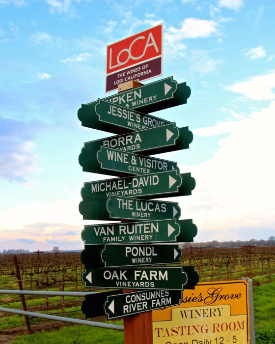 Multiple green directional signs pointing to various wineries and vineyards in Lodi, California.