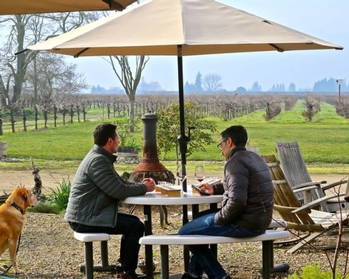 Two men enjoying wine tasting outdoors at a vineyard under a large umbrella in Lodi, California.