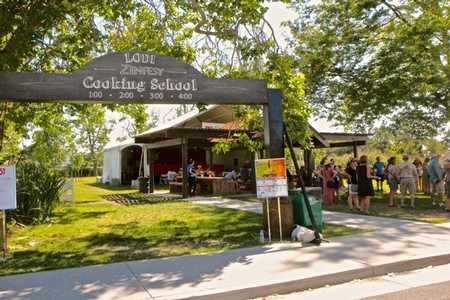 People gather at Lodi Winegrape Commission event under a large tree with a cooking school sign.