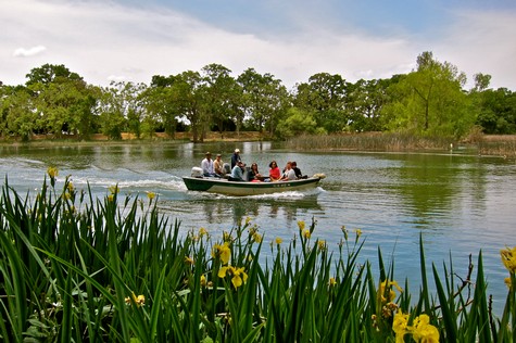 Group of people on a boat tour along a river with lush green trees and yellow flowers in the foreground.