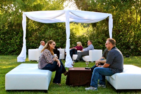 Group of people enjoying a social gathering outdoors under a white canopy in lush green surroundings.