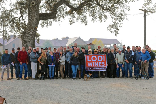 Group of people holding a Lodi Wines banner outdoors in Lodi, California, with a large tree and buildings in the background.