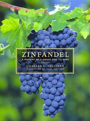 Close-up of a ripe Zinfandel grape cluster hanging on the vine with green leaves in the background.