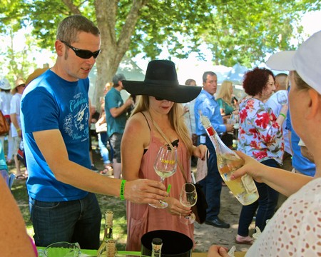 People enjoying wine tasting at an outdoor event organized by the Lodi Winegrape Commission.