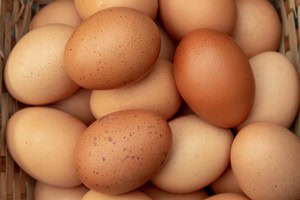 Collection of fresh eggs in various shades of brown and cream from Lodi wine country.