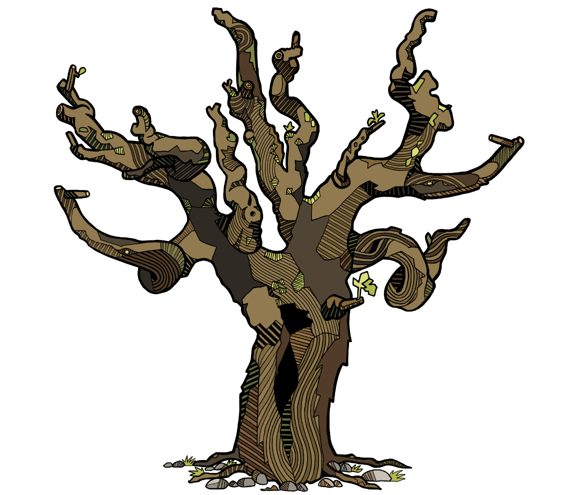 Illustration of a leafless grapevine with twisted branches, representing Lodi Winegrape Commission's focus on viticulture.