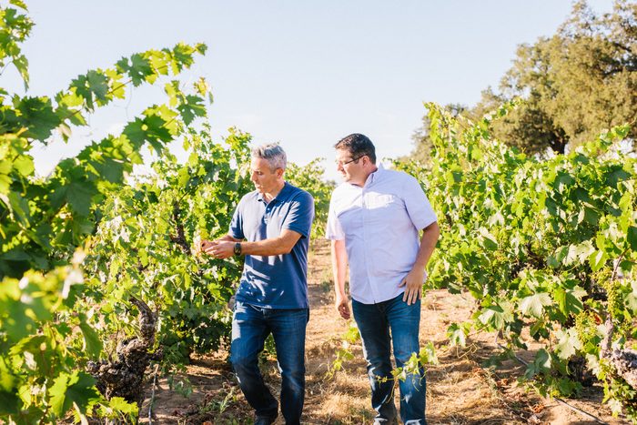 Two men walk through a lush vineyard in Lodi, California, inspecting grapevines during a sunny day.