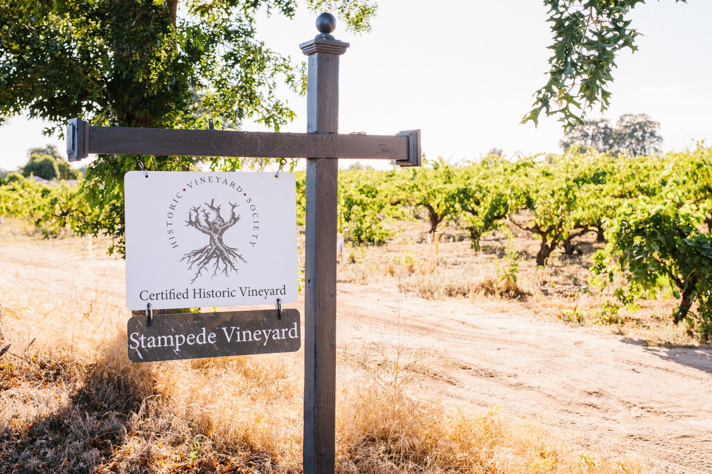 Vineyard sign for Stampede Vineyard at a certified historic vineyard in Lodi, California.